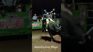 Síguenos y diviértete  