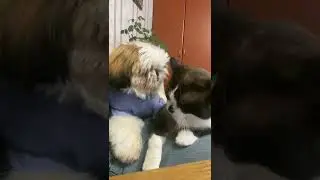 Это любофффф🙂