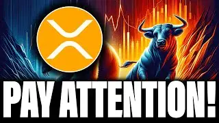WHY XRP IS GOING TO SHOCK EVERYONE (PAY ATTENTION)