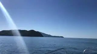 На катере по Японскому морю