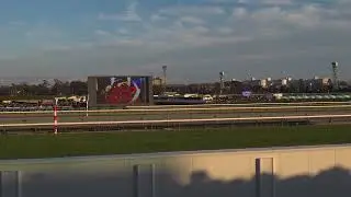 【有馬記念2023】発走前V〜ゴールまで【現地撮影】