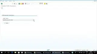 SAP Secuirty profile administration RZ10,RZ11