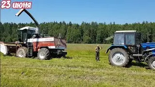 Валкование сена на Т-25 & грабли SITREX. Забуксовал комбайн в такую жару. Кормозаготовка 2021
