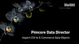 Pimcore Data Director: Import CSV to E-Commerce Data Objects