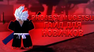 ГАЙД по Проджект Мугетсу Для НОВИЧКОВ 😱 Roblox Project Mugetsu PM Guide