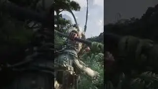 Black Myth : Wukong | RTX 4090 24GB
