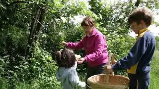 #Videogustidolomitifriulane afilditiere 04