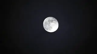 Видео для сна. Умиротворение и дзен.
