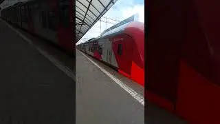 Ласточка на Киевском Вокзале#киевский#поезда#shorts