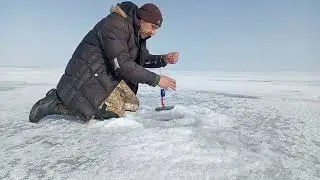 ВСЕХ С ПРАЗДНИКОМ НАУРЫЗ!!!