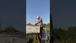 Пасека/Конец августа/ Жара/ +37 в тени!