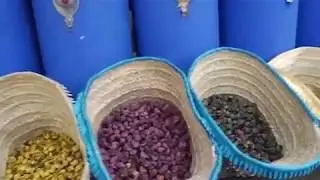 ouhacham tayzimt
