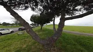 DJI AVATA 2 first day & I like it.
