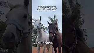 Honest Reaction 😍