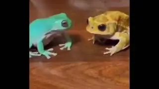 Frog Beef