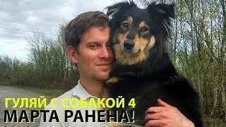 Гуляй с собакой 4. МАРТА РАНЕНА!