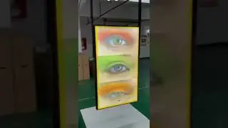 55-inch Dual Side High Brightness Shop Window Digital Signage Display