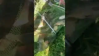 Рыбалочка#краснодарский край