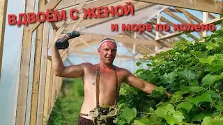 В жару +35⁰С все проветривают, а мы укрываем! Нашу мини теплицу вы ещё не видели?