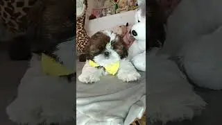 Маргоша🥰🥰🥰 