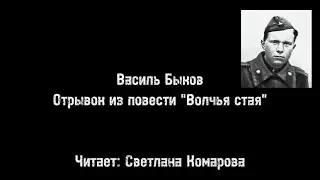 Год лейтенантской прозы. 100 лет со дня рождения Василя Быкова