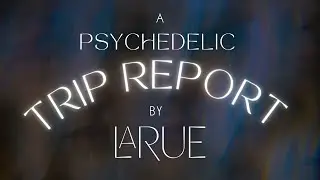 Magic Mushroom Trip Report
