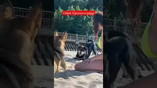 Балтийское море,Калининград 