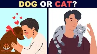 Dog Or Cat? Which Is The Best For You?