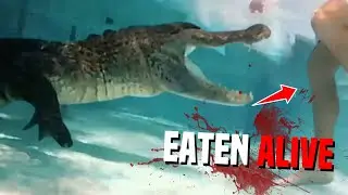 This Crocodile SNATCHED Cindy Waldron As She Was Walking On The Beach