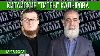 Китайские 