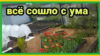 4/6 23 ОБОЖАЮ ЛЕБЕДУ. МОЧИТЬСЯ НЕ БУДУ. ЗАДРАЛИ ДОЖДИ. ЗАМОЛЮ. БУДЕМ ПРИПУХАТЬ.ТРИ РАЗА ПЕРЕОДЕЛАСЬ.