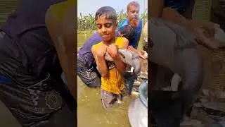 Hamza Trying to Hold Big Fish In A village pond   #catchingfish #fish #fishingtime #fishing
