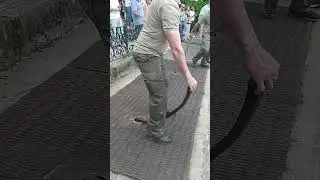 включение фонтана