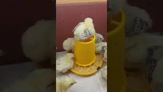 Повыше, хорошо устроился! 