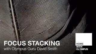 Focus Stacking with Olympus Guru David Smith