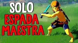 Can you complete BOTW using ONLY the MASTER SWORD?