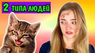2 ТИПА ЛЮДЕЙ С КОТОМ И БЕЗ Люди Делятся на Два Типа ТИПЫ ЛЮДЕЙ С ЖИВОТНЫМИ