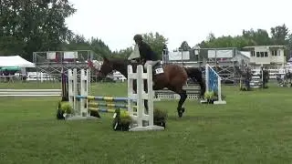 Colton & Kosmo .70 Jumper Grass CVPC Show June 2023