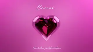 CANSEI - Nininha Problemática (prod. Fabregas Music)