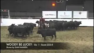 2011 STAMPEDE CUTTING - OPEN - 1st go