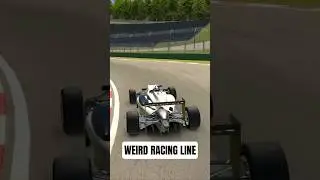 Why F1 Drivers IGNORE the Perfect Racing Line