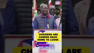 Chicken 🐔 ARE COMING Home To Loose.