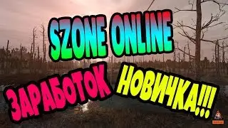 Szone-Online: Заработок для новичка