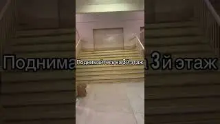 Как пройти в фотостудию
