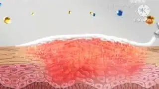 Цинокап Рука реклама 2017-2018 РАРИТЕТ!!!