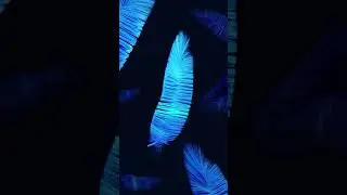 #3d