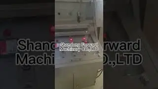 200-250kg fried bugle snacks production line working in our Lebanon customers factory