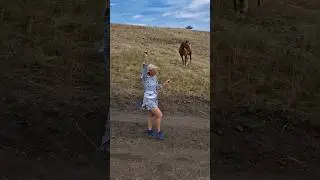 Лошадка.