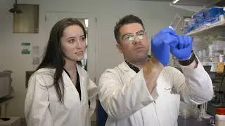 Understanding Inflammation in the Heart
