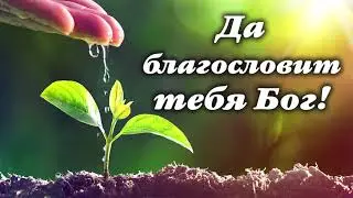 Хочешь БЛАГОСЛОВЕНИЯ? Это для ТЕБЯ!